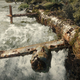 Imagen para el artículo titulado He visto Tomb Raider y es una buena película de acción pero no está a la altura de ningún videojuego